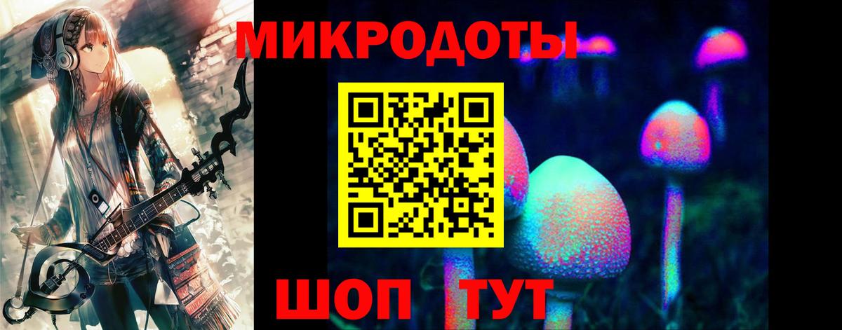 Мытищи  Псилоцибиновые грибы Magic Shrooms  наркота  Вход с VPN 